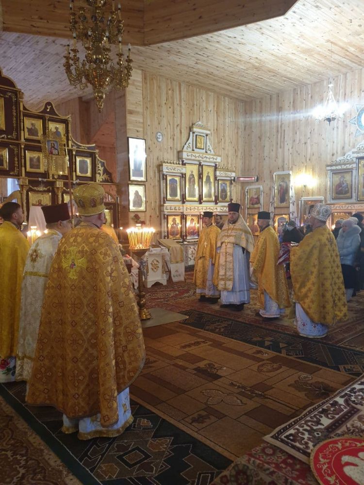 Архієпископ Житомирський і Поліський Володимир (Шлапак)